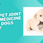 Does Pet Joint Care Medicine Make Dogs Lazy