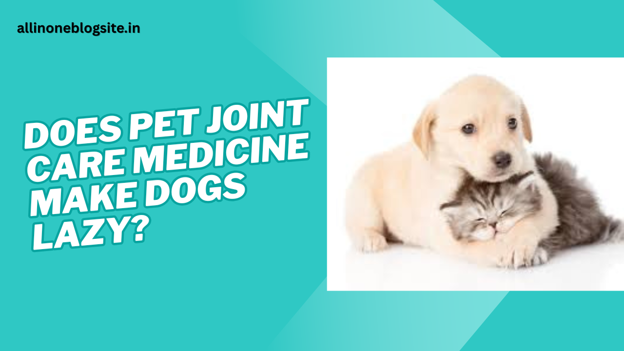 Does Pet Joint Care Medicine Make Dogs Lazy