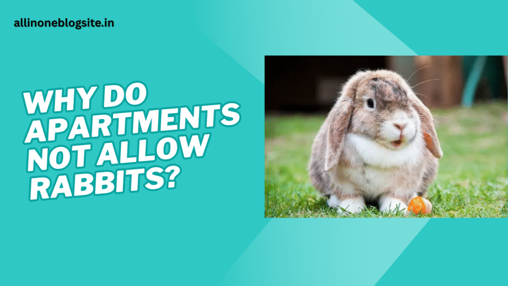 Why do apartments not allow rabbits