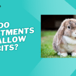Why do apartments not allow rabbits