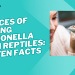 chances of getting salmonella from reptiles