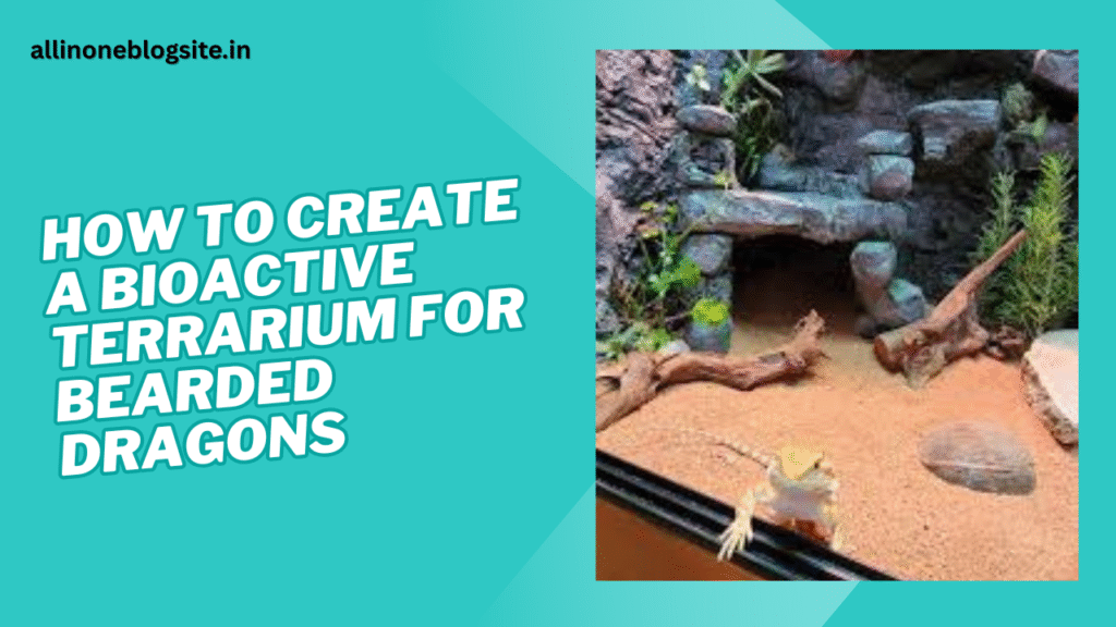 how to create a bioactive terrarium for bearded dragon