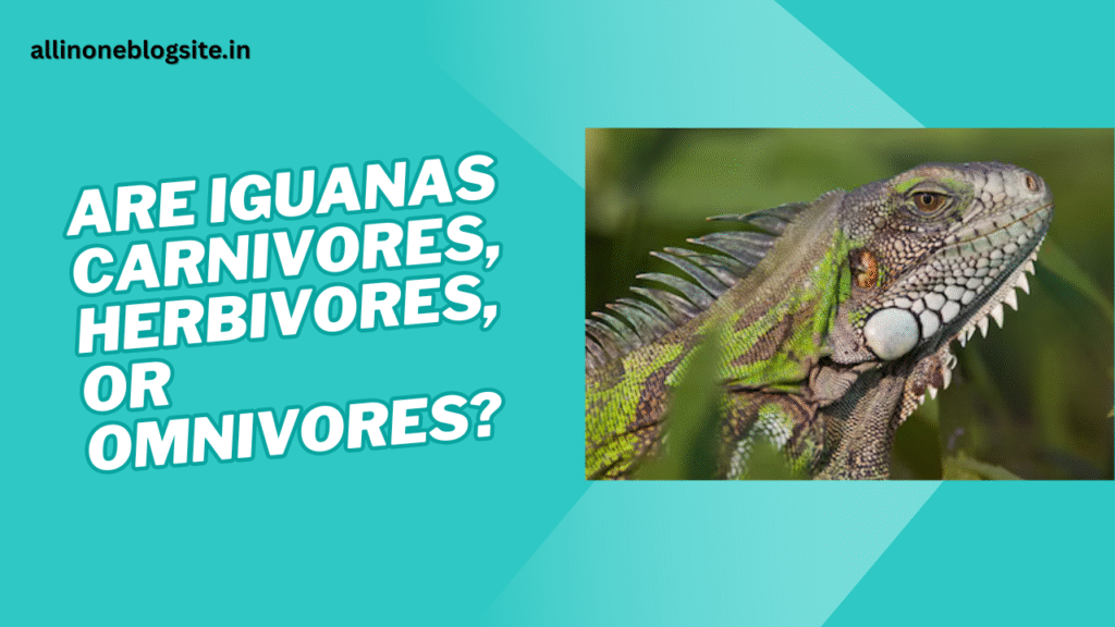 are iguanas carnivores herbivores or omnivores