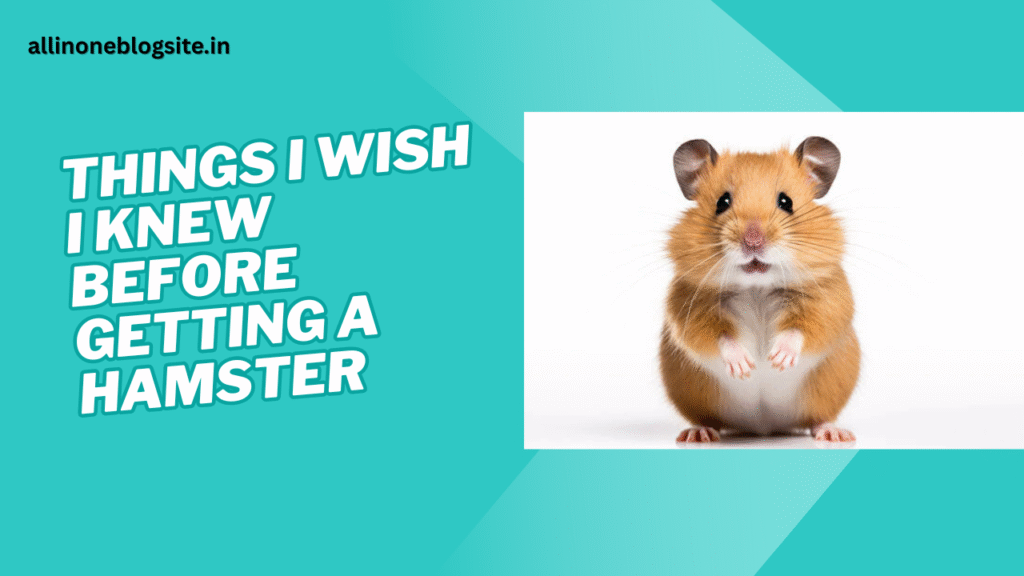 things I wish I knew before getting a hamster
