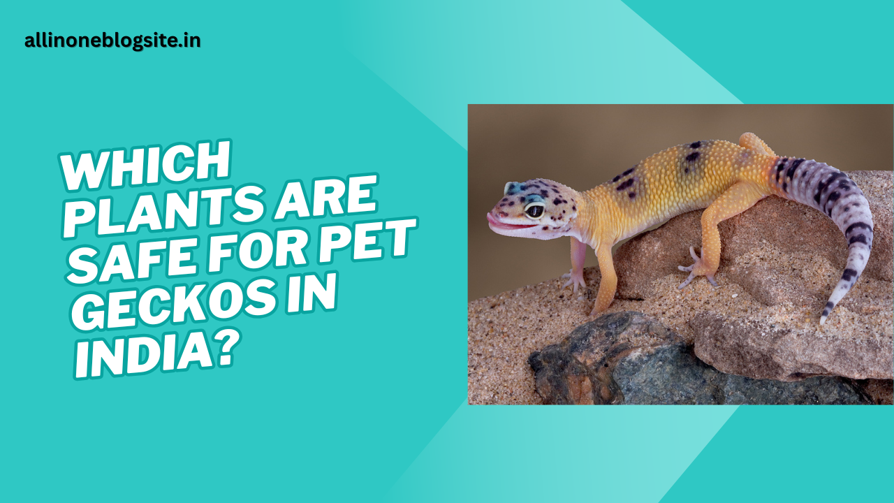 what plants are safe for pet geckos in India?