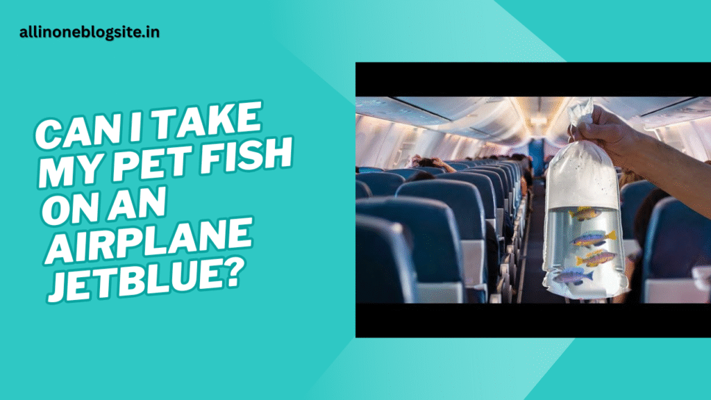 can i take my pet fish on an airplane jetblue
