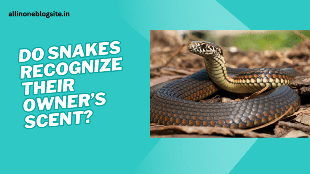 do snakes recognize their owners scent