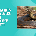 do snakes recognize their owners scent