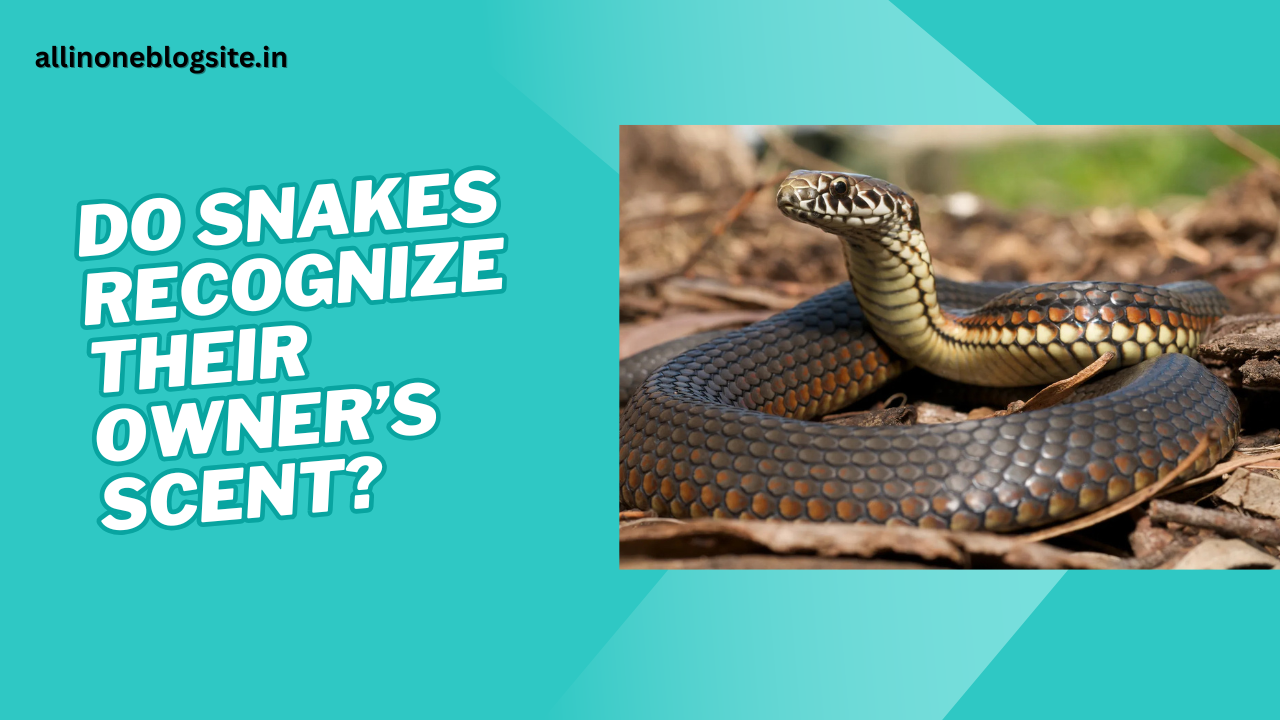 do snakes recognize their owners scent