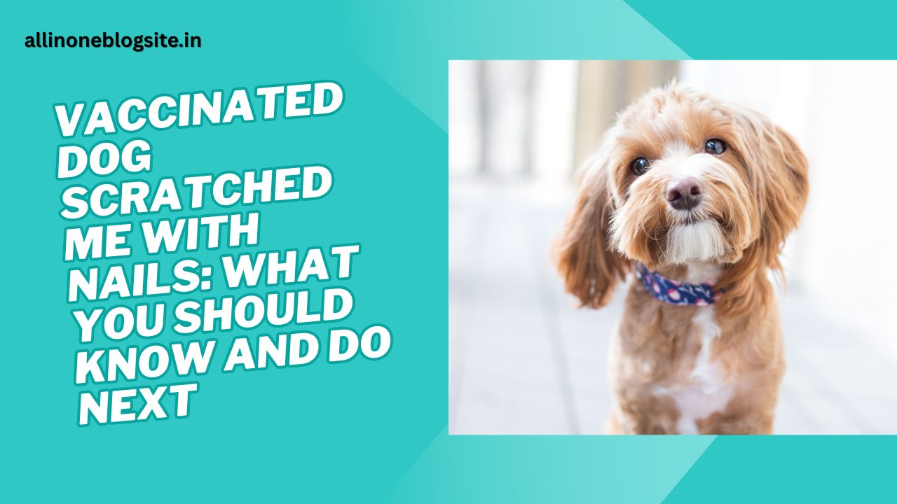 vaccinated dog scratched me with nails