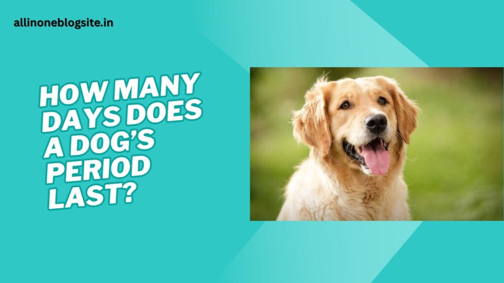 how many days dog period last