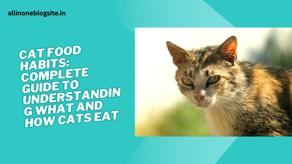 Cat Food Habits: Complete Guide to Understanding What and How Cats Eat